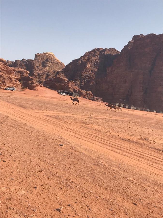 Hotel Bedouin House Camp Wadi Rum Exteriér fotografie