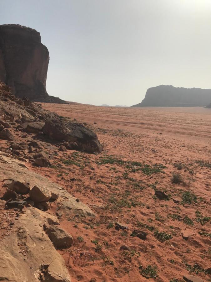 Hotel Bedouin House Camp Wadi Rum Exteriér fotografie