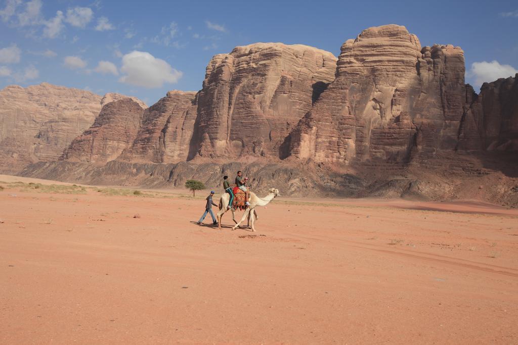 Hotel Bedouin House Camp Wadi Rum Exteriér fotografie