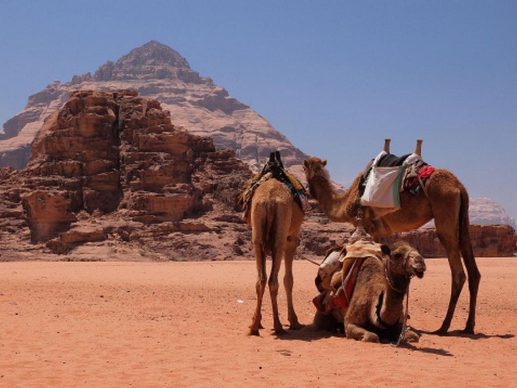 Hotel Bedouin House Camp Wadi Rum Exteriér fotografie